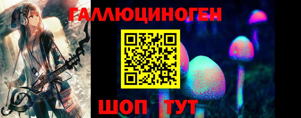 Галлюциногенные грибы Psilocybine cubensis Элиста