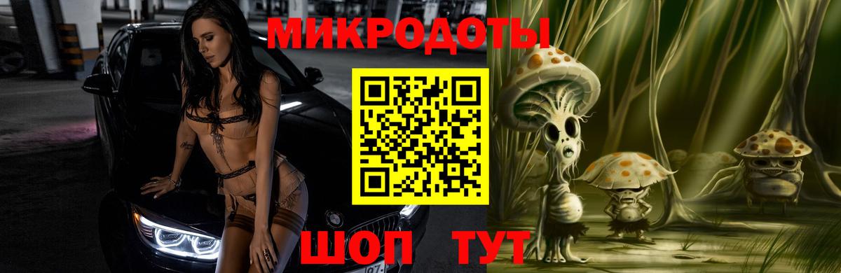 Элиста  Псилоцибиновые грибы GOLDEN TEACHER  Вход с VPN  Псилоцибиновые грибы Psilocybe 